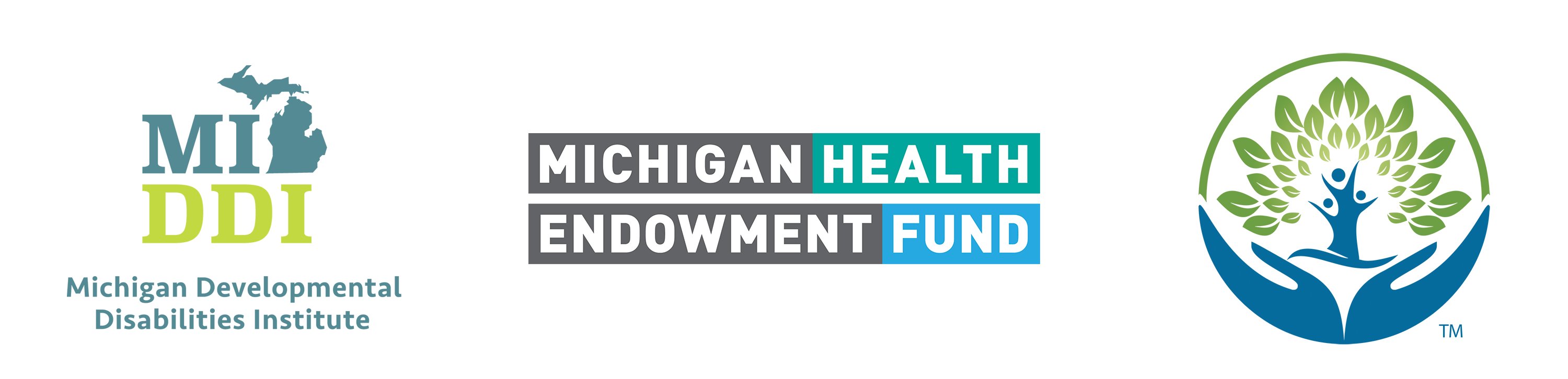 Banner with the logos for MI-DDI, Michigan Health Endowment Fund, and Hope Trust.